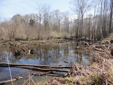 The 196 acre parcel of land located at 226 Blue Lake Road Petal - photo 13