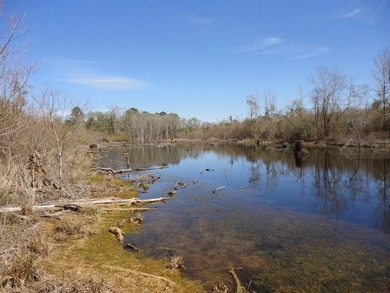 The 196 acre parcel of land located at 226 Blue Lake Road Petal - photo 14
