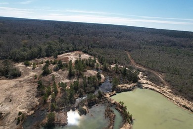 The 196 acre parcel of land located at 226 Blue Lake Road Petal - photo 17