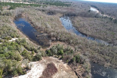 The 196 acre parcel of land located at 226 Blue Lake Road Petal - photo 18