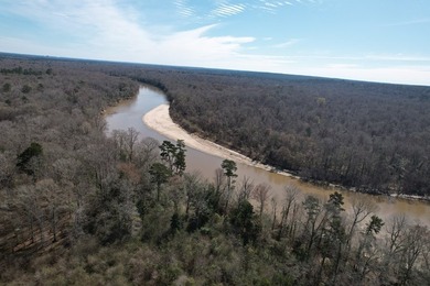 The 196 acre parcel of land located at 226 Blue Lake Road Petal - photo 19
