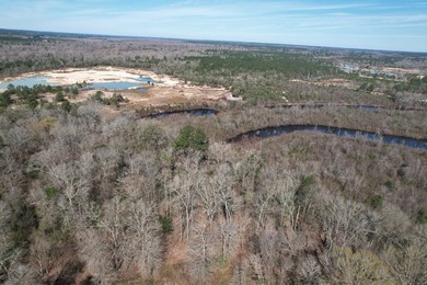 The 196 acre parcel of land located at 226 Blue Lake Road Petal - photo 22
