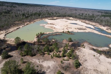 The 196 acre parcel of land located at 226 Blue Lake Road Petal - photo 24