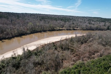 The 196 acre parcel of land located at 226 Blue Lake Road Petal - photo 25
