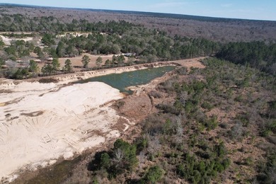 The 196 acre parcel of land located at 226 Blue Lake Road Petal - photo 26