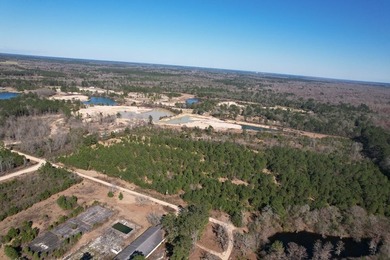 The 196 acre parcel of land located at 226 Blue Lake Road Petal - photo 27