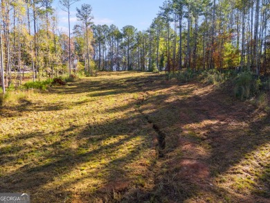 West Point Lake Lot For Sale in Lagrange Georgia