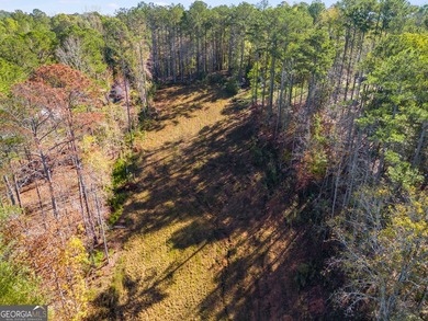 MOTIVATED SELLER!! This beautiful 1 acre lot is cleared and - photo 7