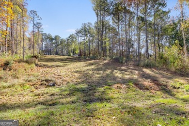 MOTIVATED SELLER!! This beautiful 1 acre lot is cleared and - photo 8