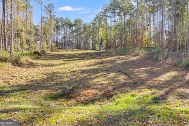 MOTIVATED SELLER!! This beautiful 1 acre lot is cleared and - photo 9