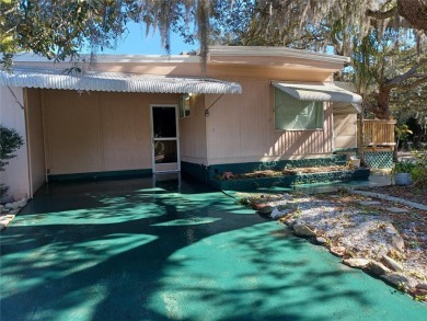 (private lake, pond, creek) Home For Sale in Tarpon Springs Florida