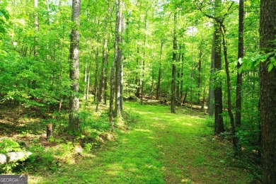 Lake Acreage For Sale in Snellville, Georgia