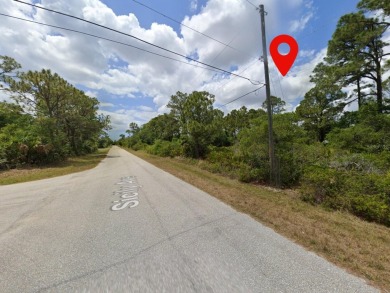 Excellent lot with 0.23 Acres in a rapidly growing area of Port - photo 3