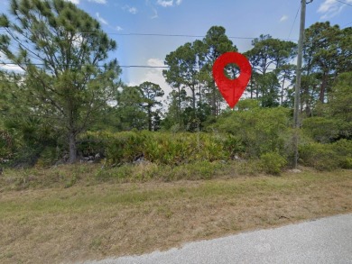 Excellent lot with 0.23 Acres in a rapidly growing area of Port - photo 4