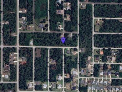 Excellent lot with 0.23 Acres in a rapidly growing area of Port - photo 8