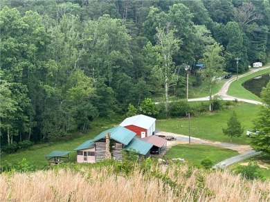 Big Dan Lake  Home For Sale in Mount Airy North Carolina