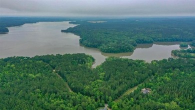 FRESHLY DREDGED! Lot 6 has underbrush cleared, seawall added - photo 11