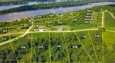 Lake Lot For Sale in Golden Eagle, Illinois