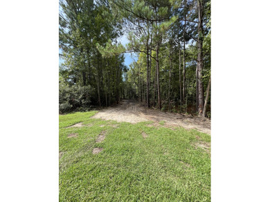 Lake Moultrie Acreage For Sale in Saint Stephen South Carolina