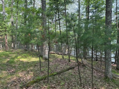 Lake Lot Sale Pending in St Germain, Wisconsin