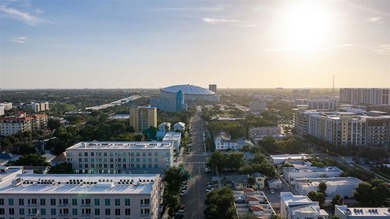 Welcome to Domus Urbana, one of downtown St. Petersburg's most - photo 50