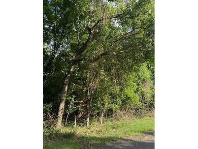 Lake Moultrie Acreage For Sale in Moncks Corner South Carolina