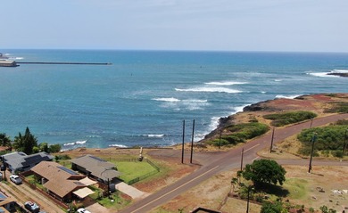 Perched on Kauai's sunny West Side, this stunning 4-bedroom, 2 - photo 29