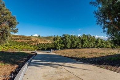 An absolutely awe inspiring masterpiece estate sitting atop over - photo 40