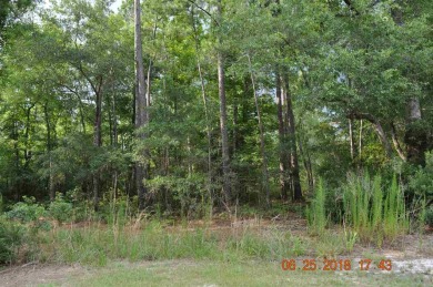 Lake Acreage For Sale in Georgetown, South Carolina
