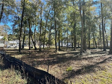 LAST AVAILABLE PARK FRONT LOT IN WHITEHALL POINT! Seize the rare - photo 11