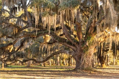 LAST AVAILABLE PARK FRONT LOT IN WHITEHALL POINT! Seize the rare - photo 17