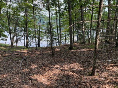 (private lake, pond, creek) Acreage Sale Pending in St Germain Wisconsin