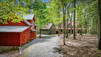 (private lake, pond, coastal) Home For Sale in Ellijay Georgia