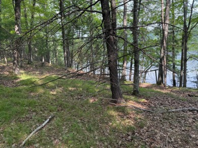 Lake Lot For Sale in St Germain, Wisconsin