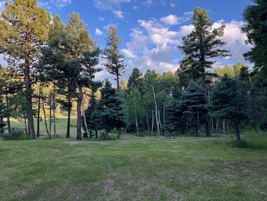 Mountain respite on beautiful accessible and expansive lot, at - photo 2