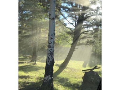 Mountain respite on beautiful accessible and expansive lot, at - photo 3