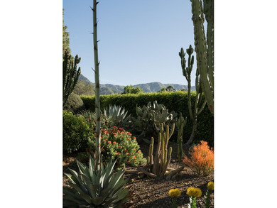 Privately situated on a cul-de-sac within coveted Birnam Wood - photo 16