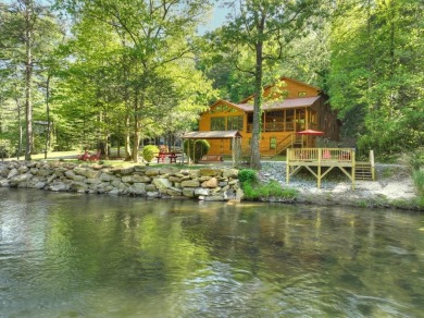 Lake Home For Sale in Blue Ridge, Georgia