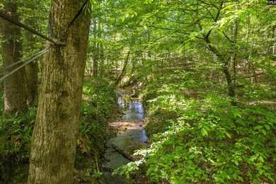 Tucked away on a private road in the heart of Lexington, this - photo 35
