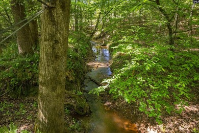 Tucked away on a private road in the heart of Lexington, this - photo 36