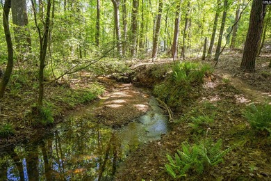 Tucked away on a private road in the heart of Lexington, this - photo 37