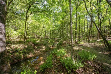 Tucked away on a private road in the heart of Lexington, this - photo 38