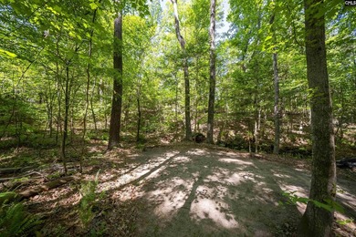 Tucked away on a private road in the heart of Lexington, this - photo 39