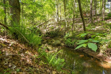 Tucked away on a private road in the heart of Lexington, this - photo 40