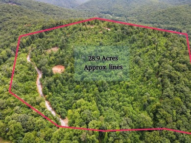 Lake Acreage For Sale in Hiawassee, Georgia