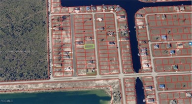 Empty lot in the NW section of Cape Coral. This is the PERFECT - photo 2