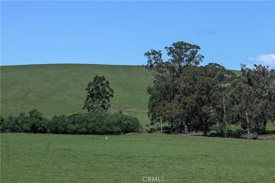 Calling all visionaries! This rare 140-acre property near the - photo 21