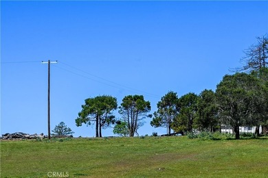 Calling all visionaries! This rare 140-acre property near the - photo 28