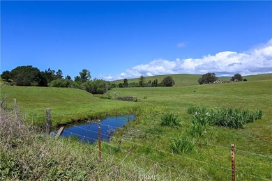 Calling all visionaries! This rare 140-acre property near the - photo 29