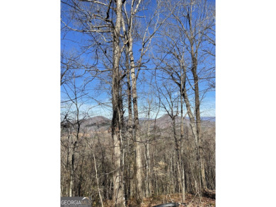 Lake Lot For Sale in Young Harris, Georgia